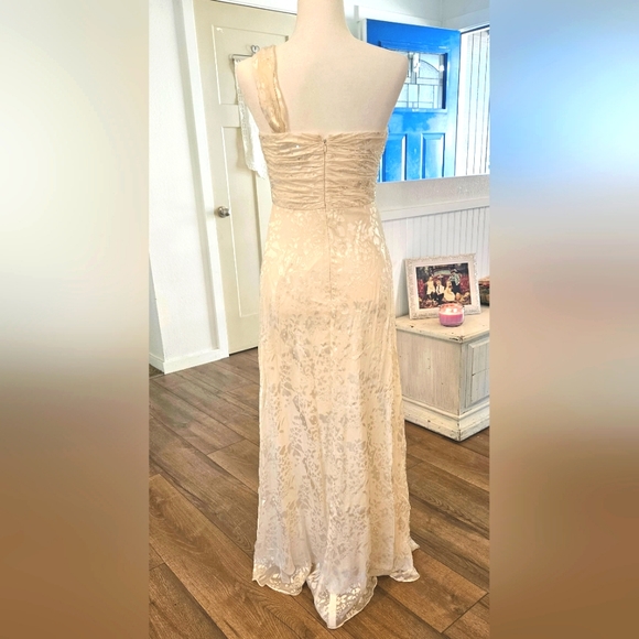 NWOT'S - ALEX EVENINGS - Cream White Floral Print On Shear- Size 4 - 2 piece set - Picture 6 of 11